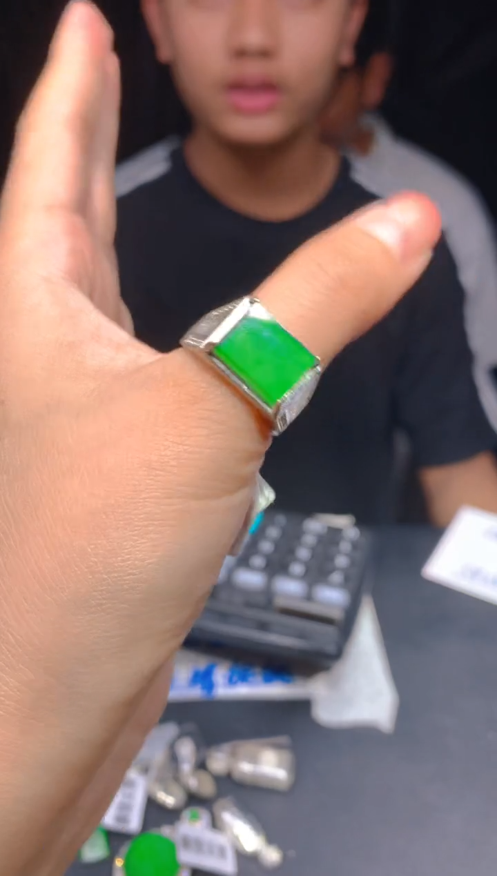 【闪购商品】定制翡翠未镶嵌236多样性发货（发其一）