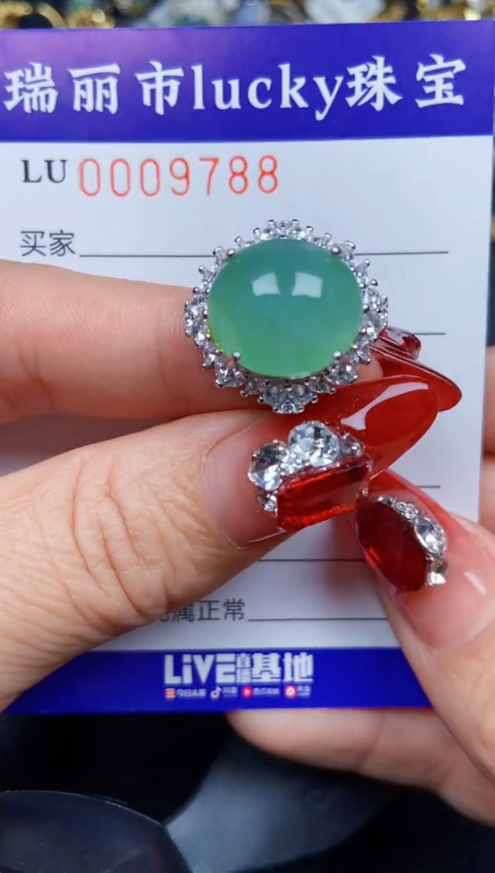 【闪购商品】翡翠颈饰银S925镶嵌9788