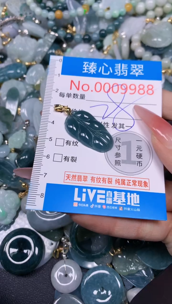 【闪购商品】翡翠颈饰未镶嵌含绳0009988