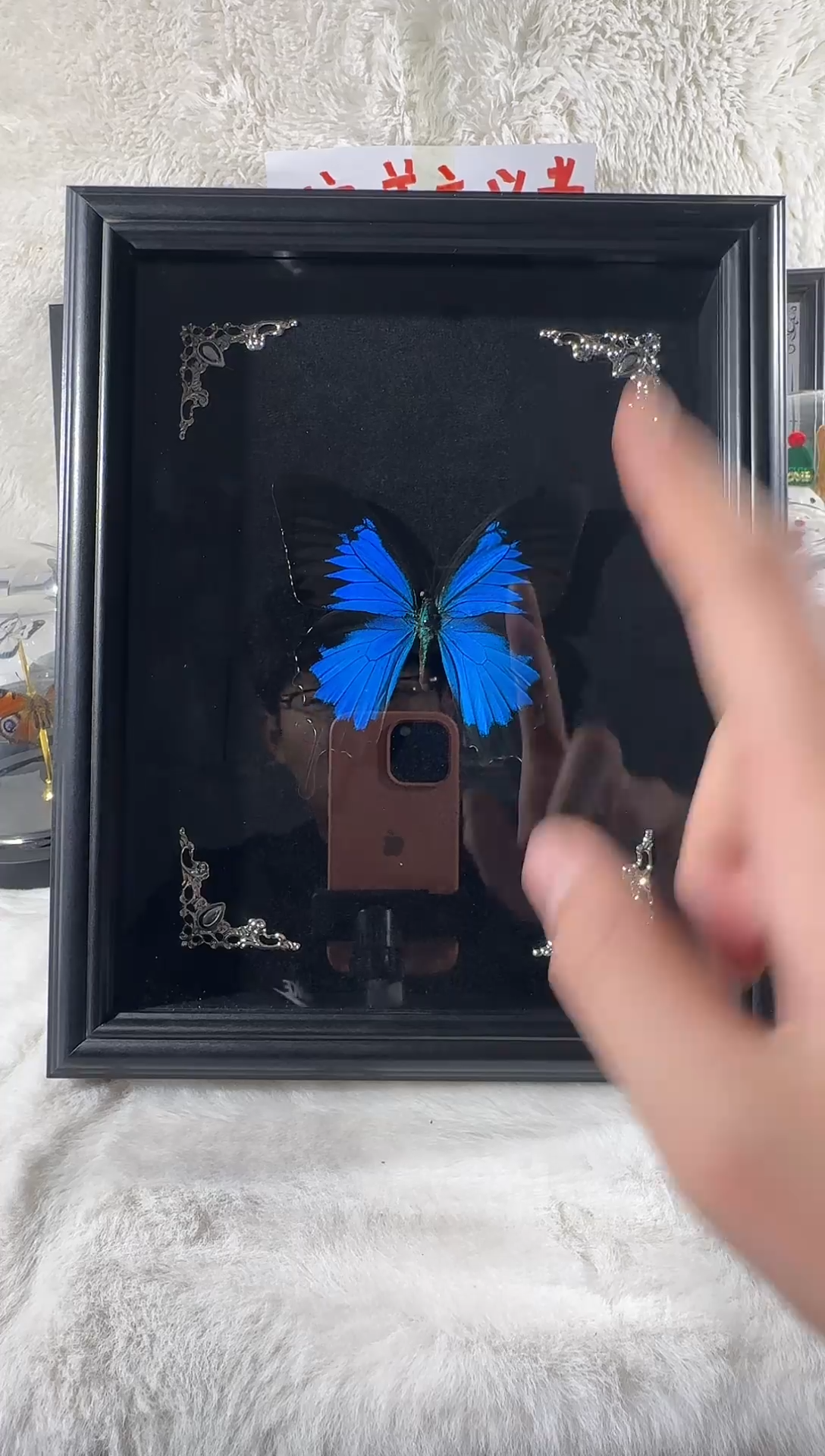 木天堂凤蝶10寸相框    