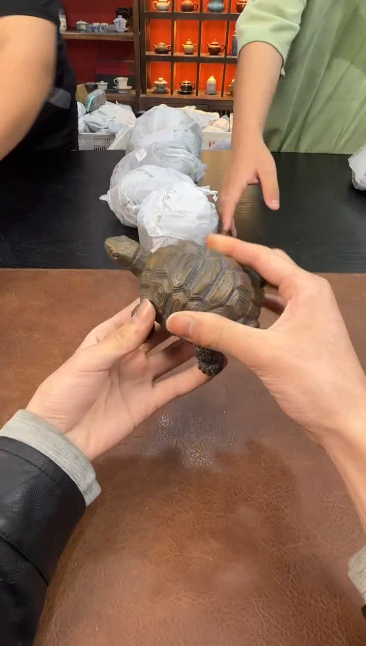 【闪购商品】1111111111111111