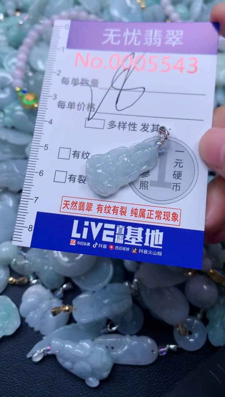 颈饰未镶嵌翡翠5543