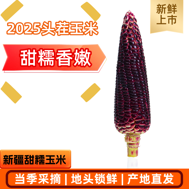新疆绿洲农场新鲜现摘甜糯可口糯桑葚玉米