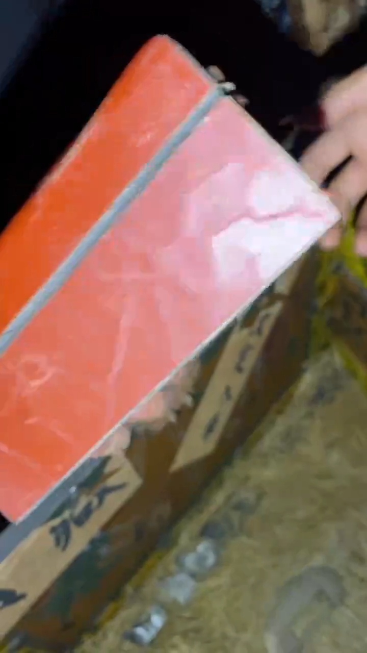 一一一一一一一一福利