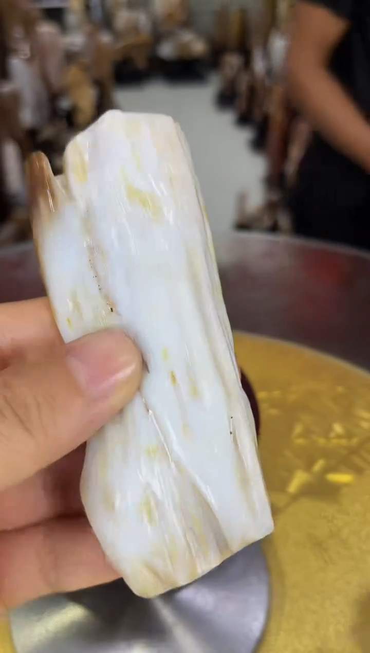 硅化玉珠宝奇石未镶嵌缅甸天然树化玉