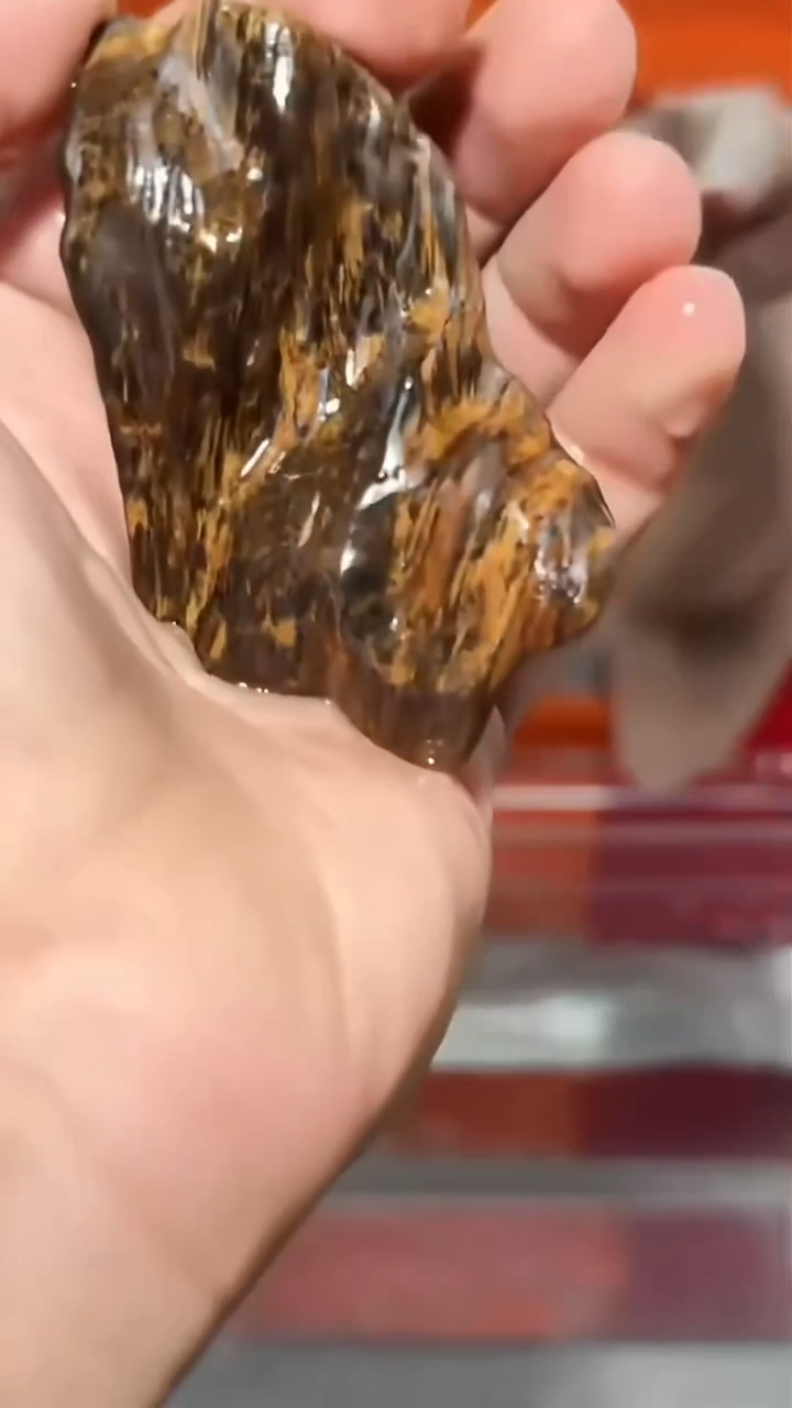 沉香摆件a93号沉水多样性发一