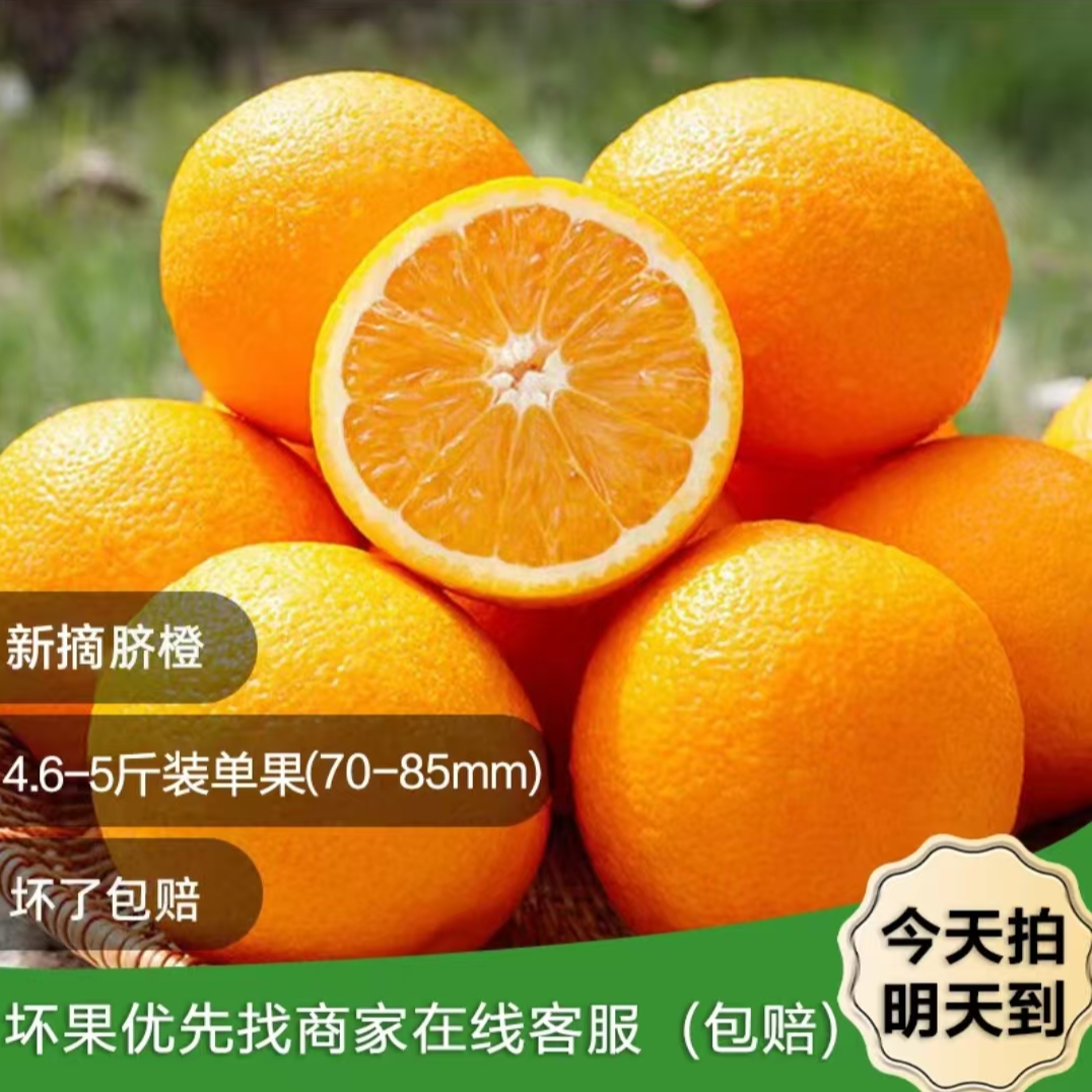 【 京东包邮到家】江西赣南脐橙树上熟阳光橙子原产地现摘现发新鲜爆汁正宗赣南脐橙