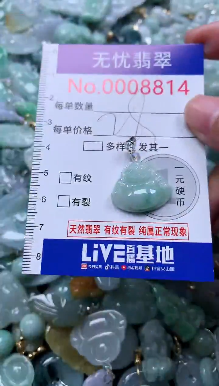 颈饰未镶嵌翡翠8814