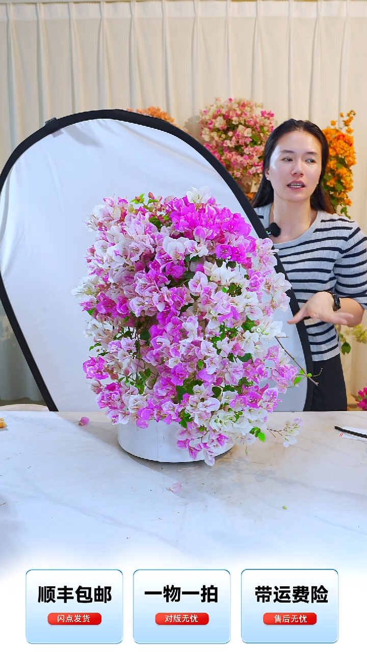 大部分开放少量花苞章红樱