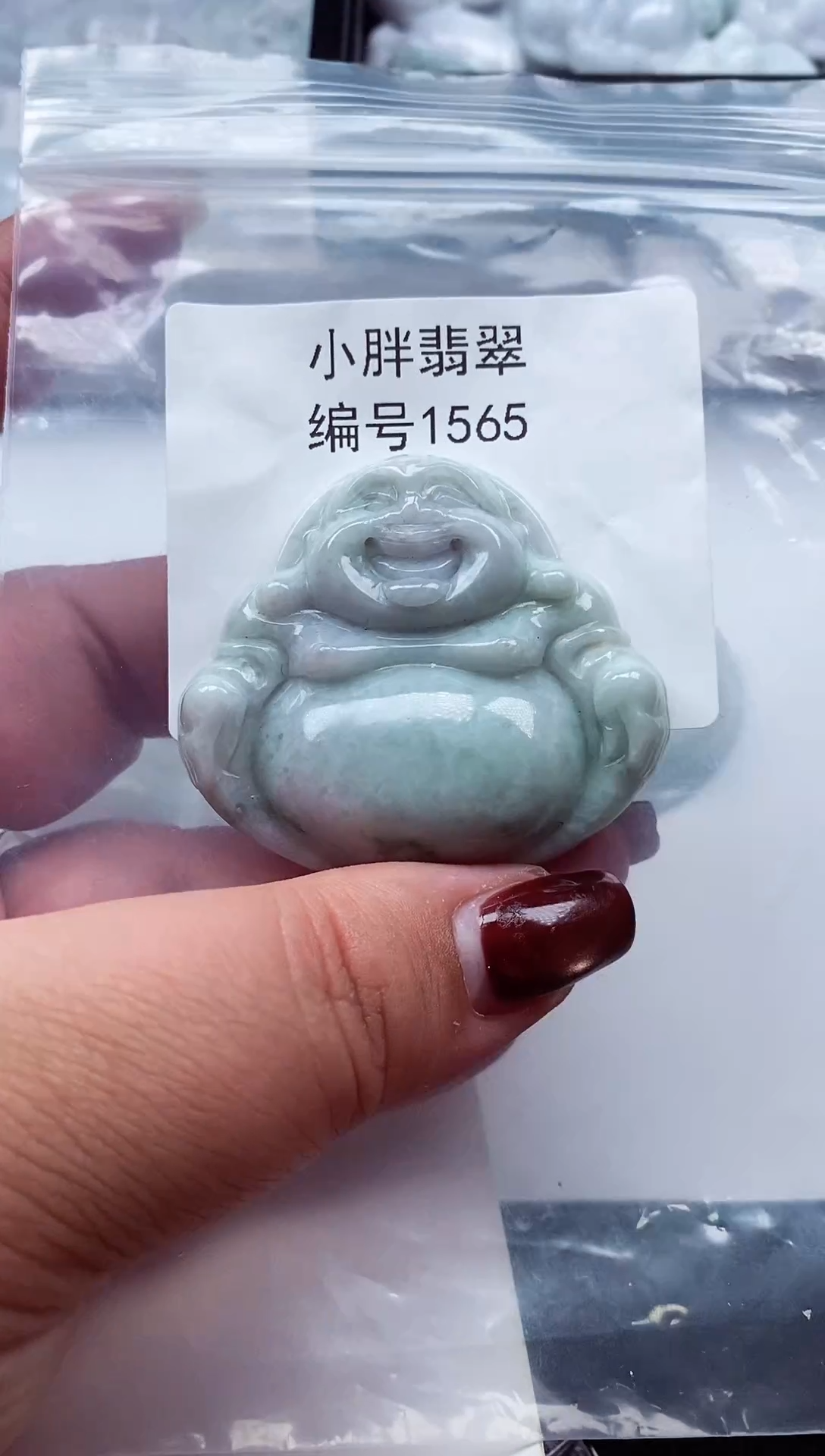 颈饰未镶嵌翡翠缅甸天然A货翡翠1565