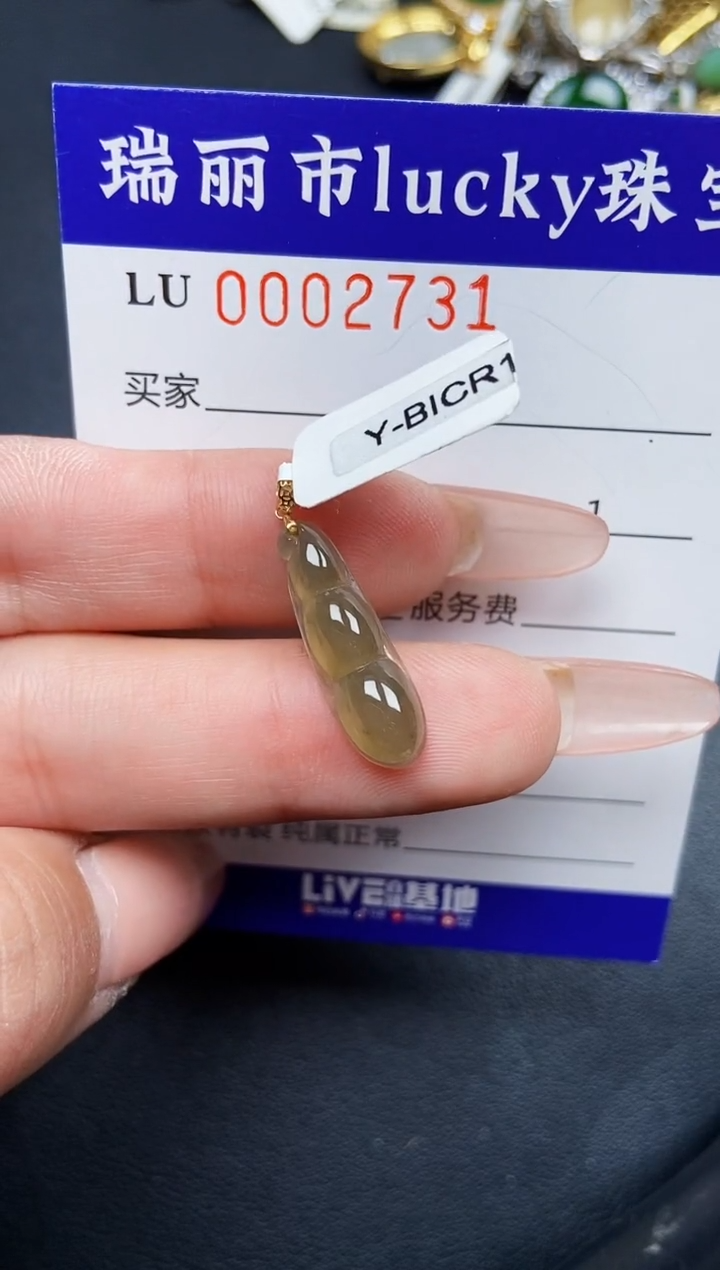 【闪购商品】翡翠颈饰18K金镶嵌002731