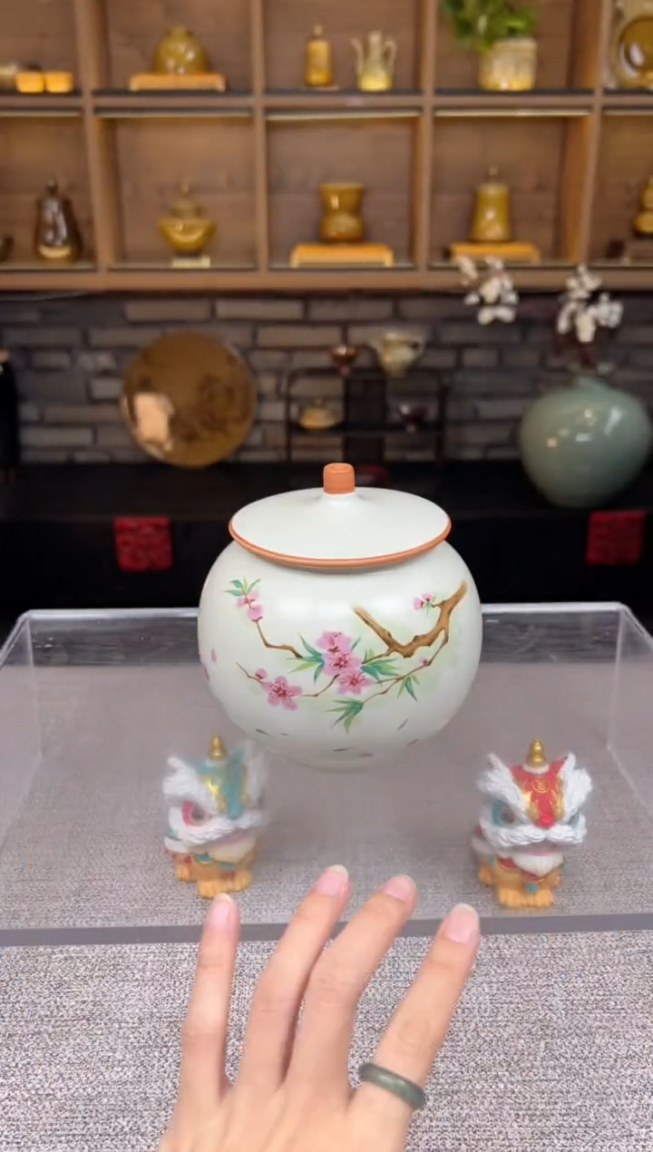 【闪购商品】无尽藏 专属福利单 VVV 