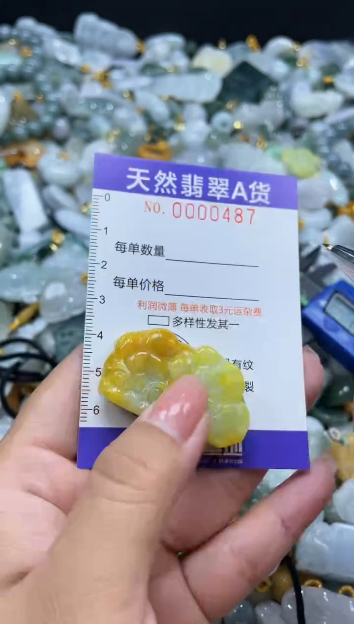 翡翠未镶嵌颈饰00487