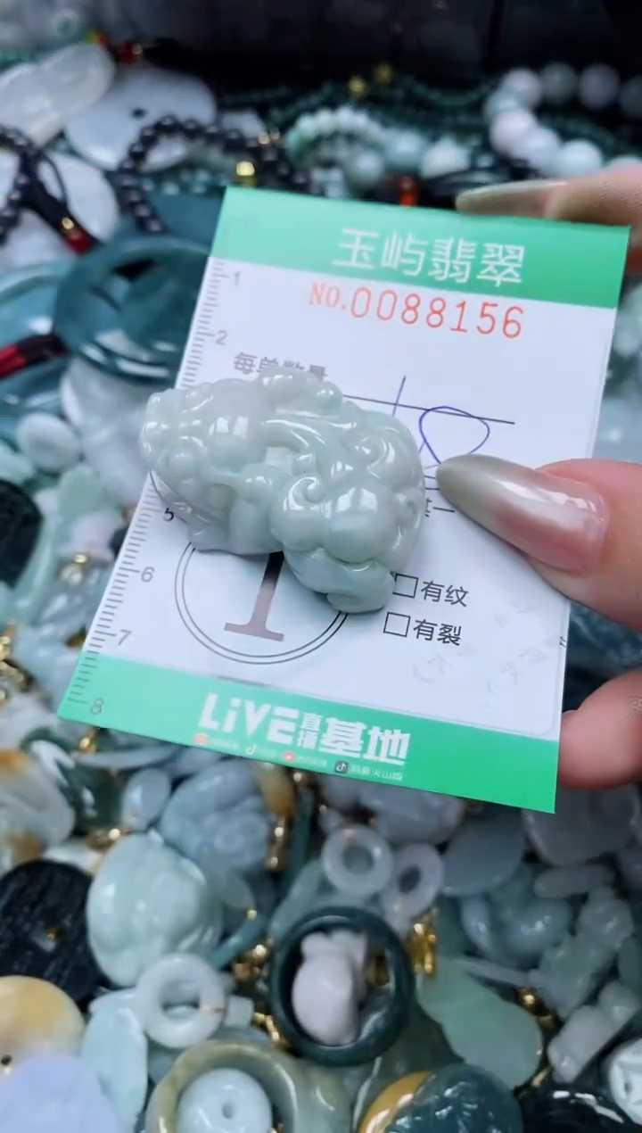 【闪购商品】翡翠颈饰未镶嵌闪购0088156