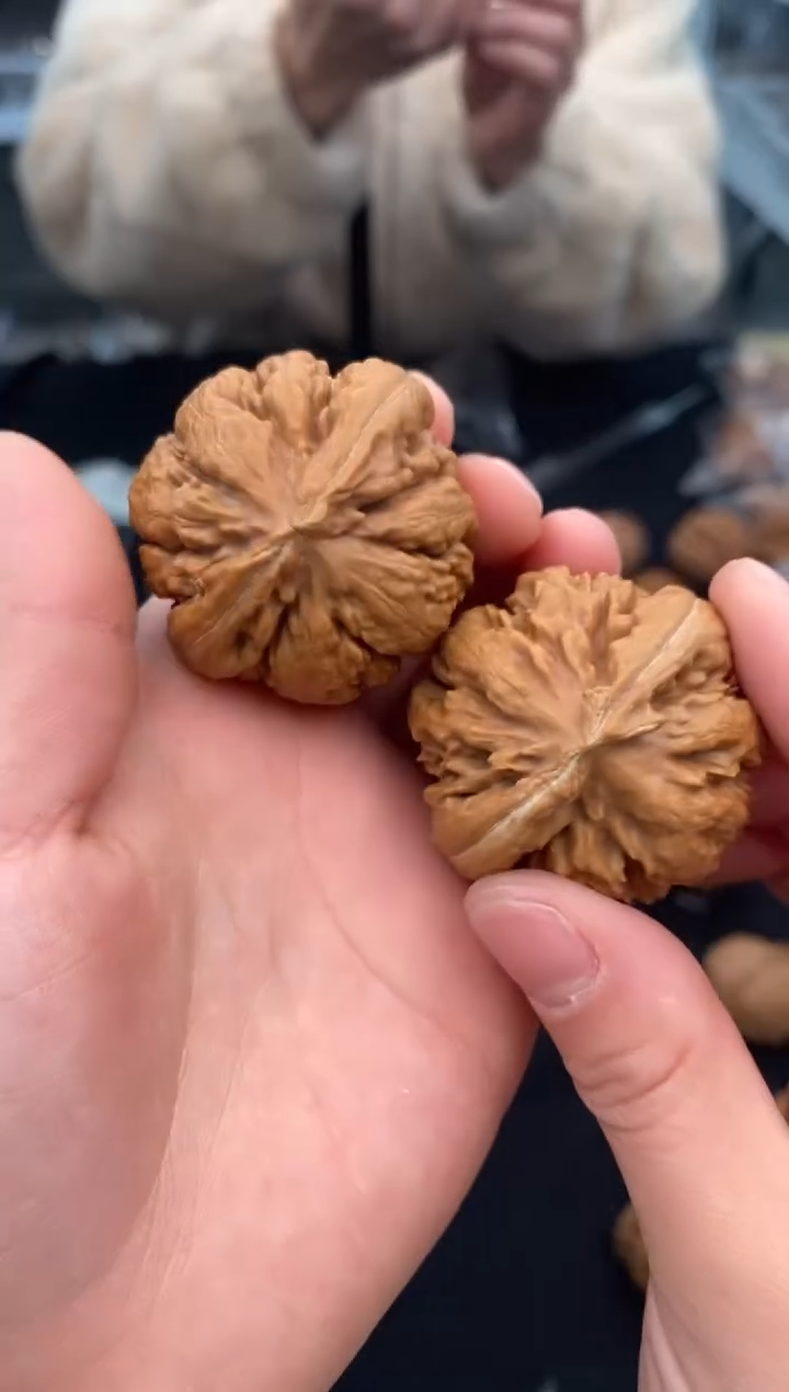 【闪购商品】文玩核桃把件霸王龙42-u473