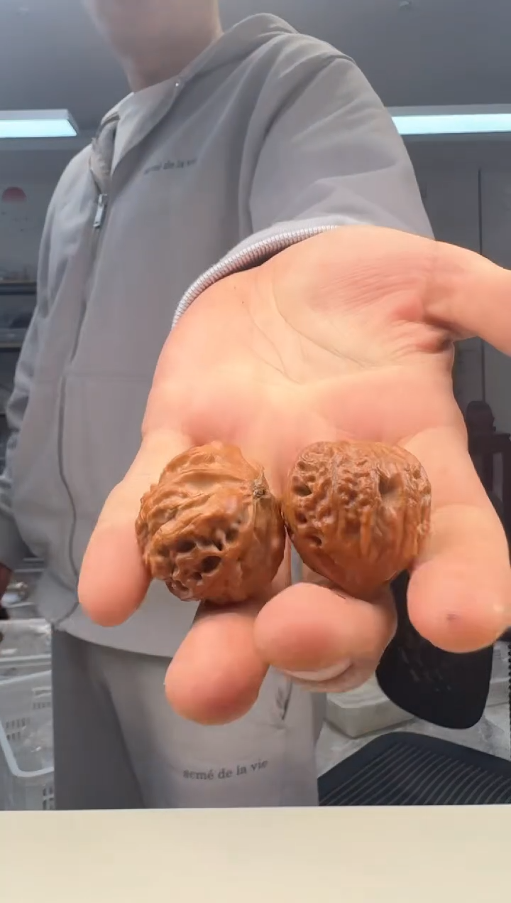 【闪购商品】文玩核桃把件30左右奶龙秋子手捻