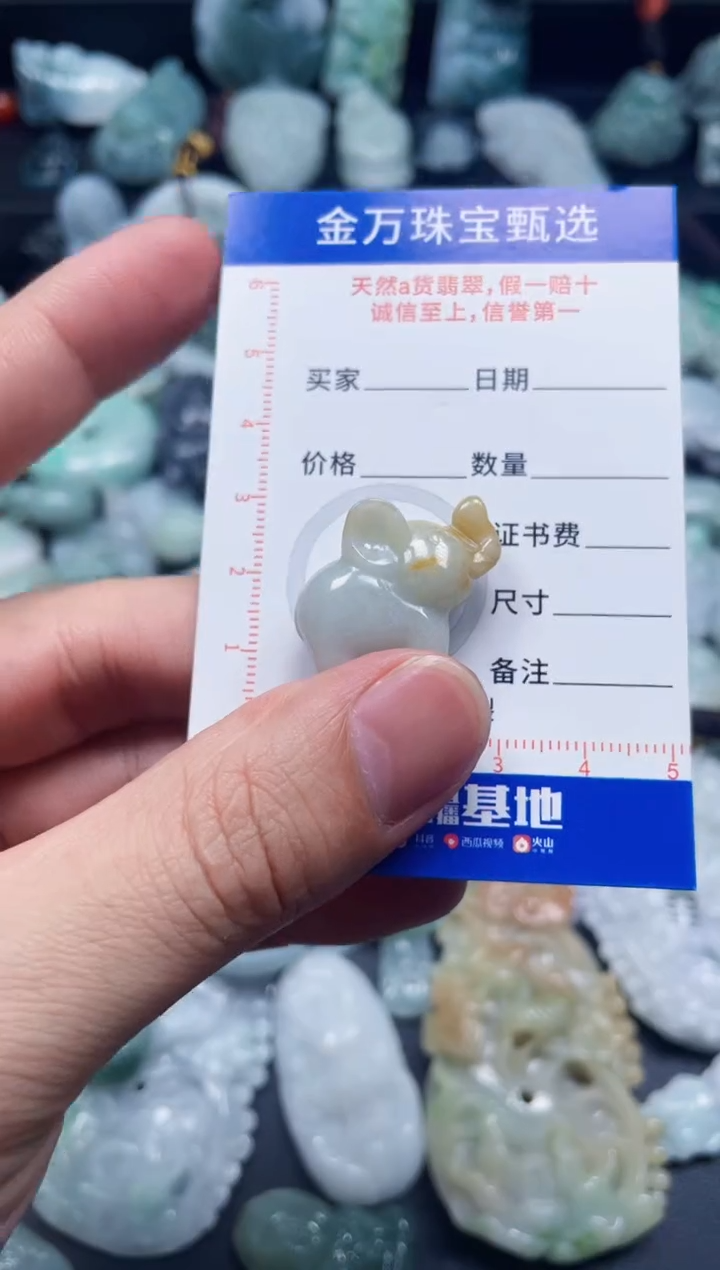 翡翠未镶嵌颈饰天然翡翠a货