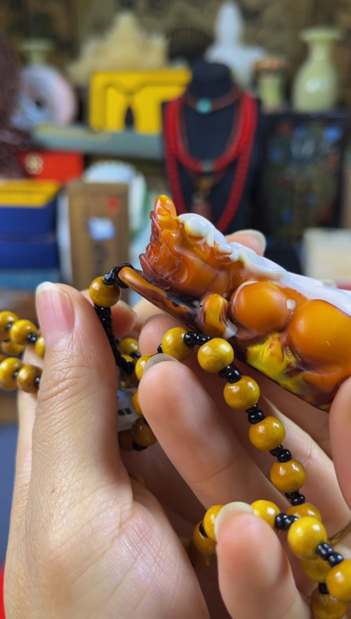 其他贝壳——————————————————