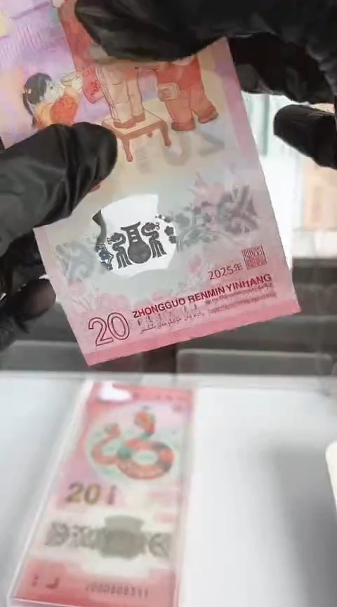 【闪购商品】塑料蛇钞单张号码000808305