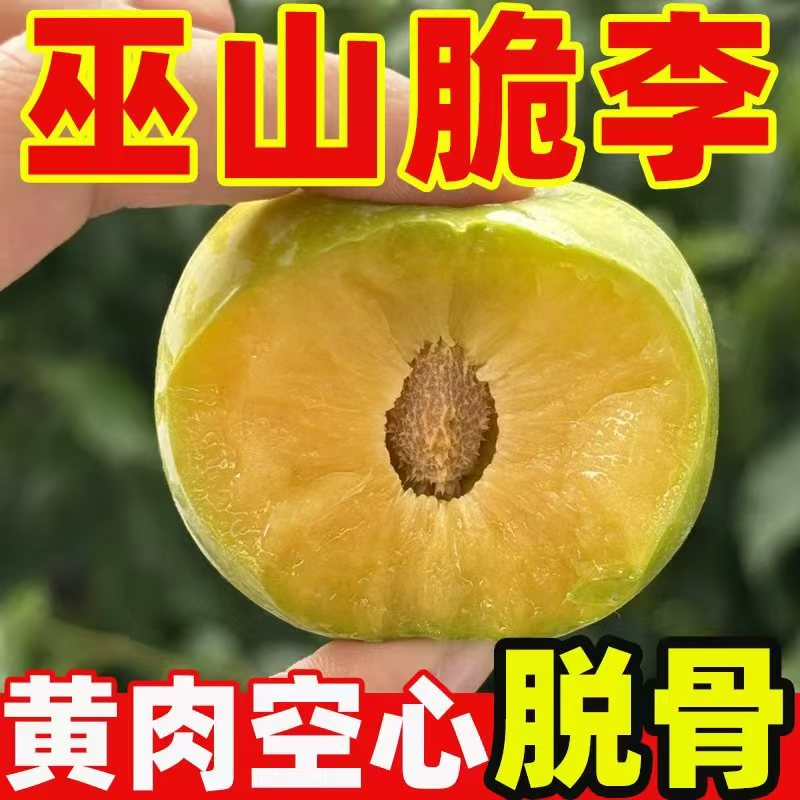 【正宗巫山脆李】青脆李脱骨李新鲜应季水果汁多肉厚