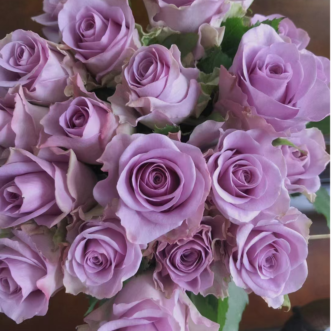 紫霞仙子玫瑰：（一单也包邮。两单同一地址及以上送货上门送配草）