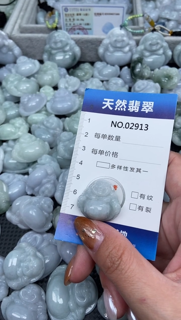 颈饰未镶嵌翡翠纯天然A货翡翠2913