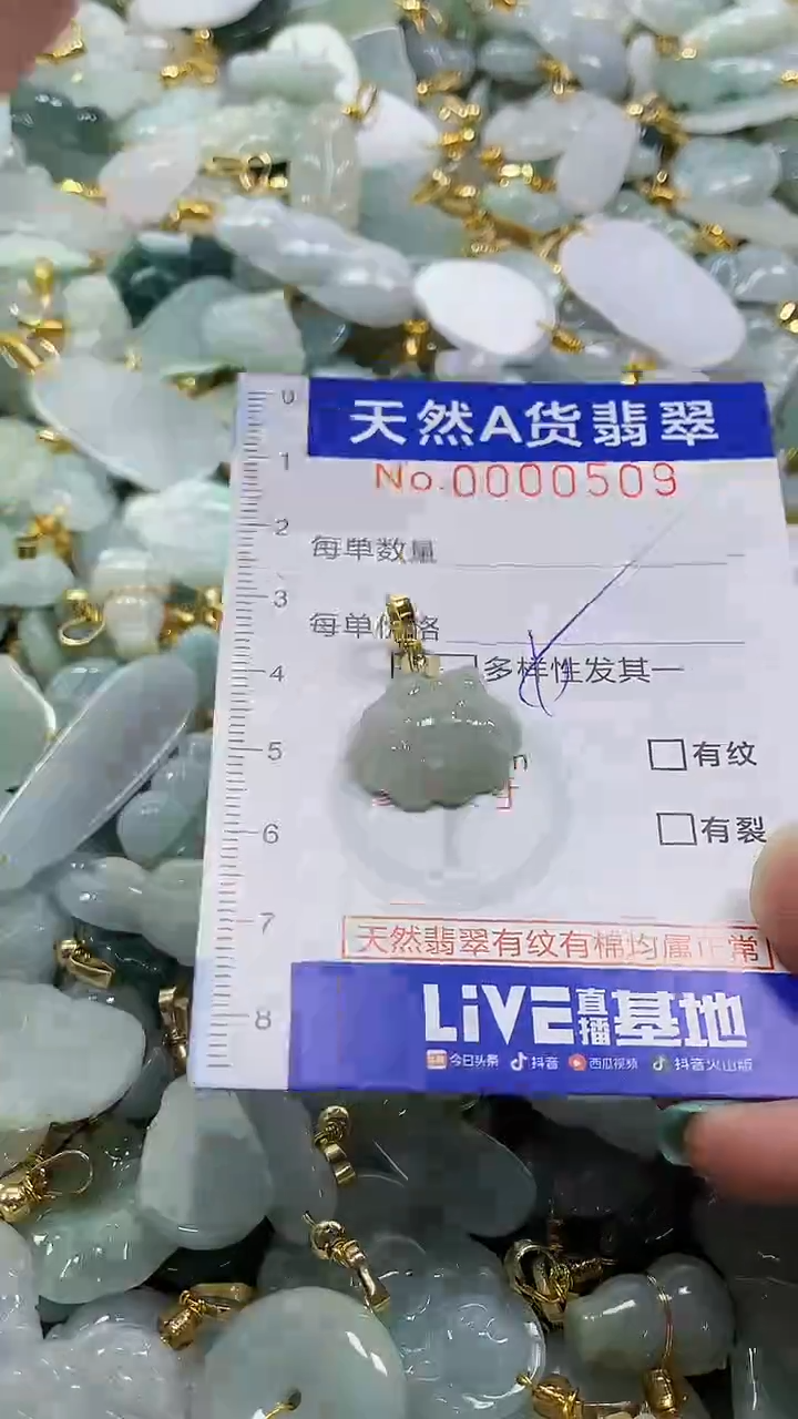 颈饰未镶嵌翡翠纯天然a货翡翠