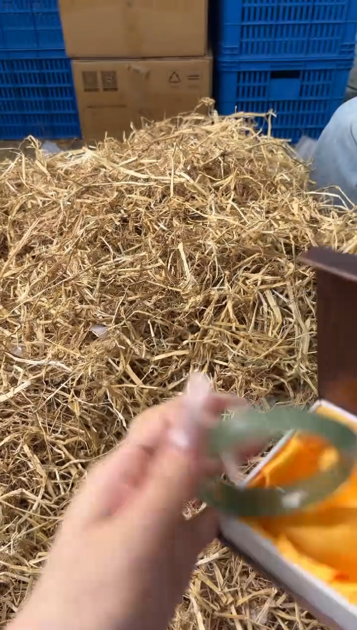 未镶嵌手镯石英质玉S-600