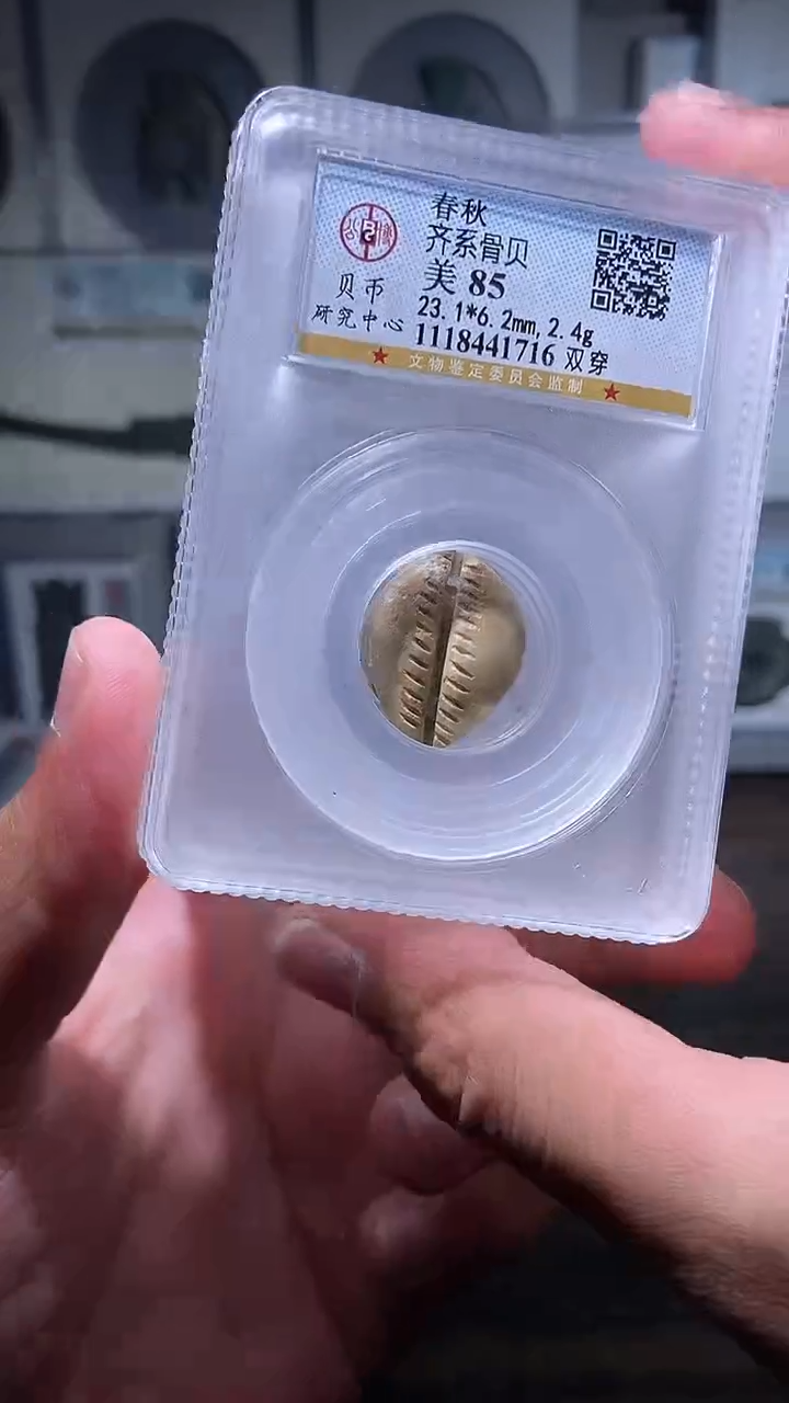 【闪购商品】铜历代 骨贝骨贝一枚