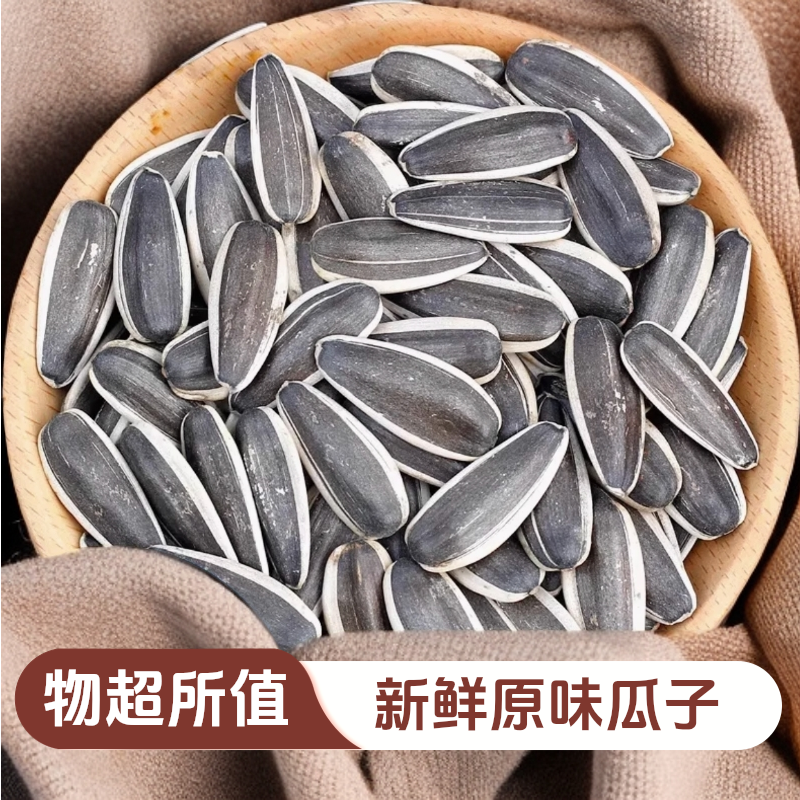 内蒙古特产大颗粒原味生瓜子香脆饱满追剧零食（生）