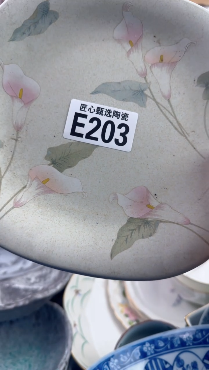 瓷片舍****果      E203