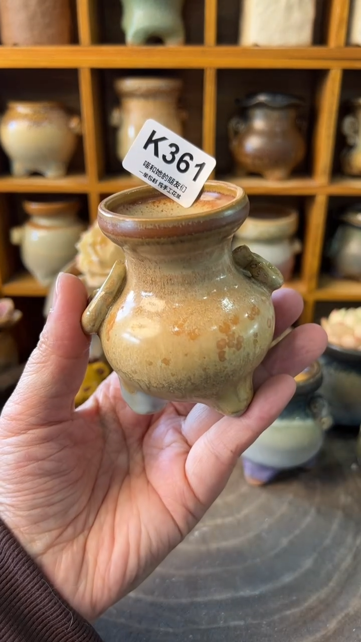 361 内口4.5【多肉花盆多肉盆】