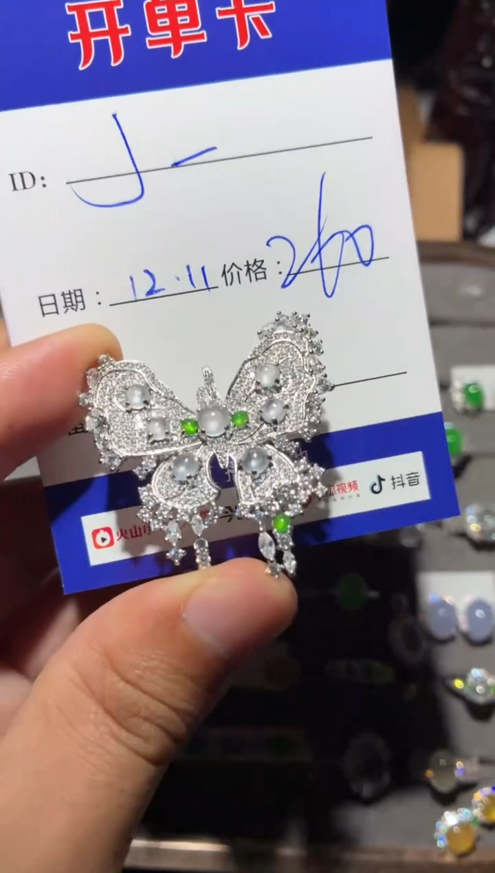 颈饰银S925镶嵌翡翠J****9向 Jenny2009