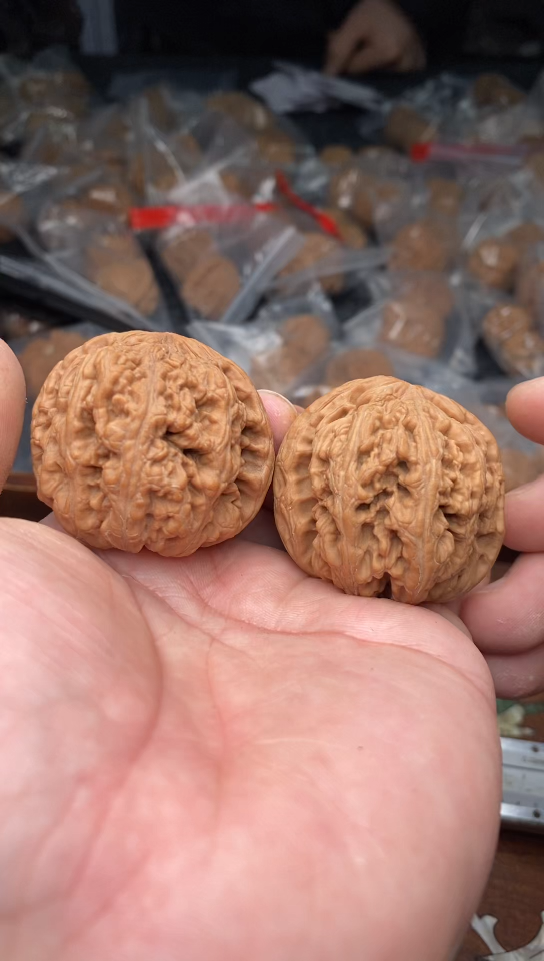 【闪购商品】文玩核桃把件B113号43尺粗筋