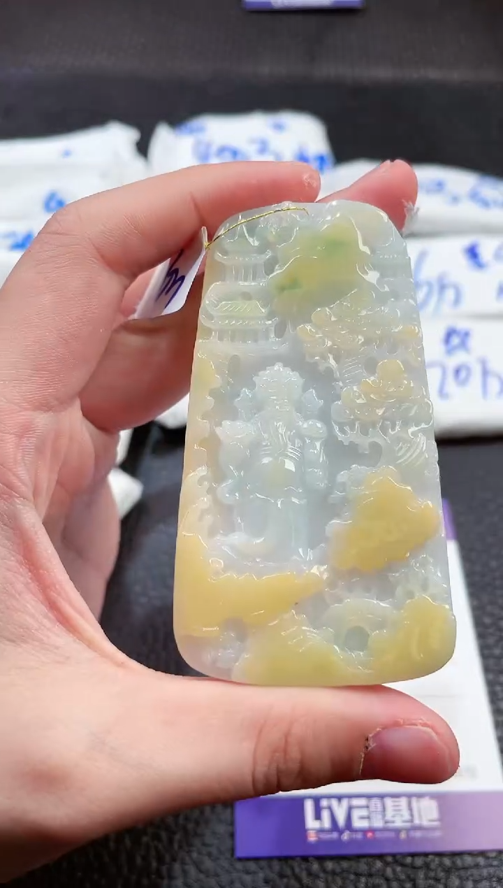 【闪购商品】翡翠未镶嵌颈饰00001935