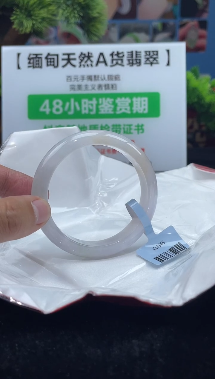 【闪购商品】翡翠手镯未镶嵌4            