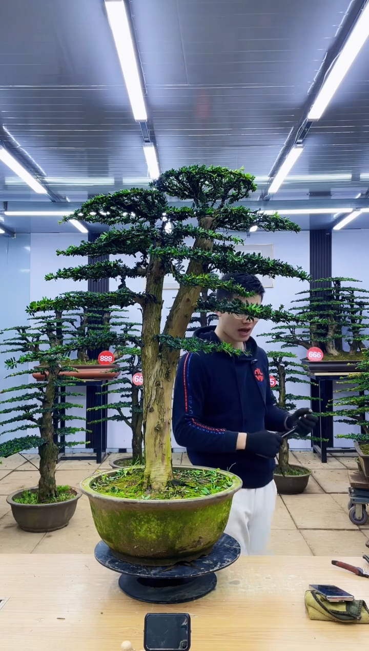 【闪购商品】0000000