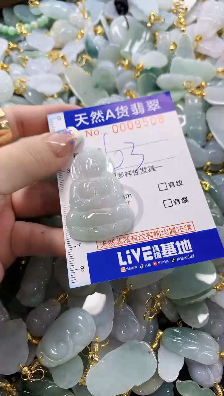 颈饰未镶嵌翡翠天然A货翡翠