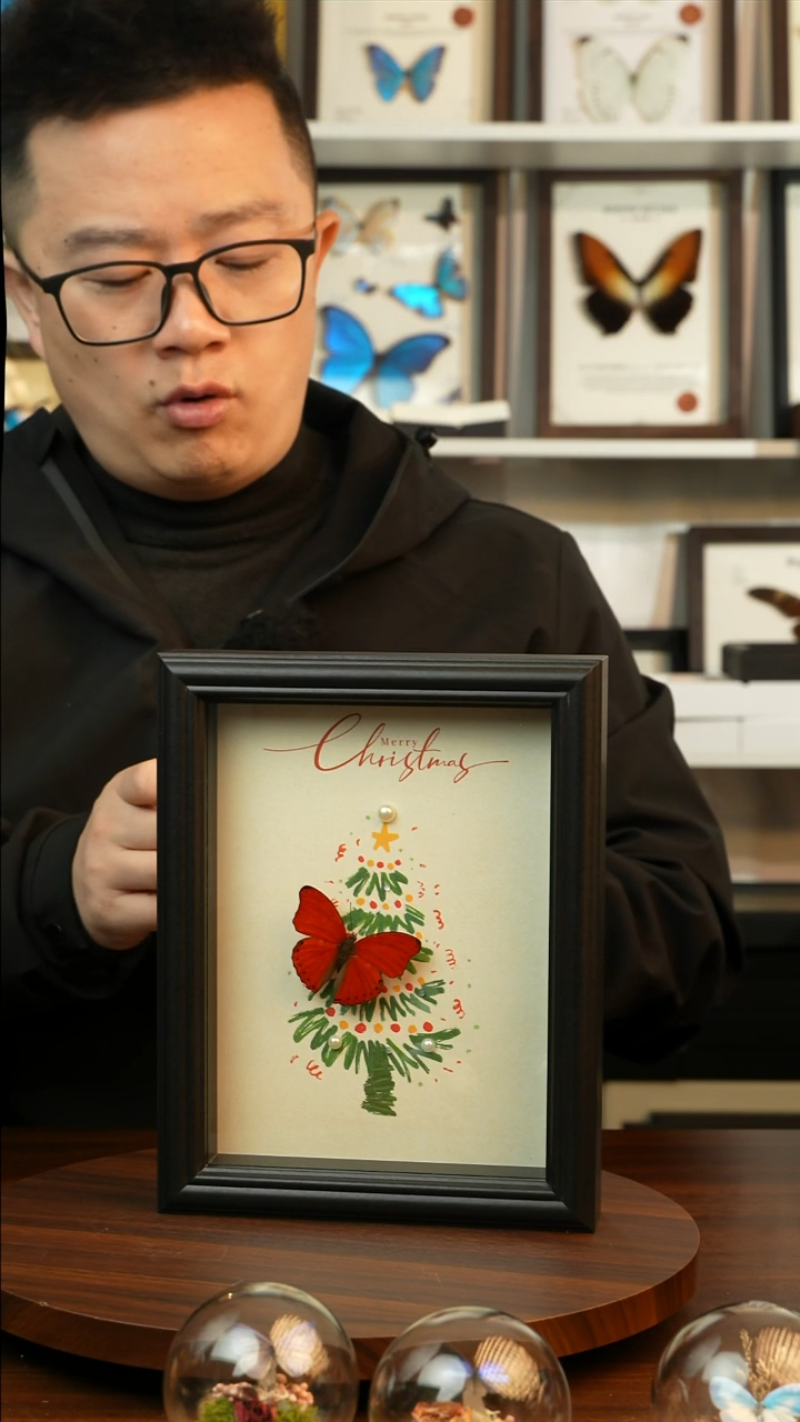 血漪蛱蝶-圣诞款（8寸方黑色欧式框）A550