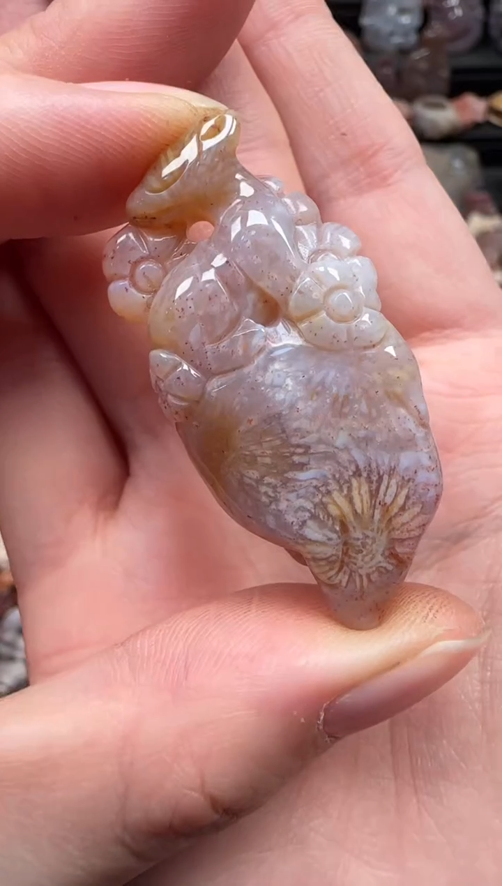 颈饰未镶嵌硅化珊瑚（珊瑚玉）131