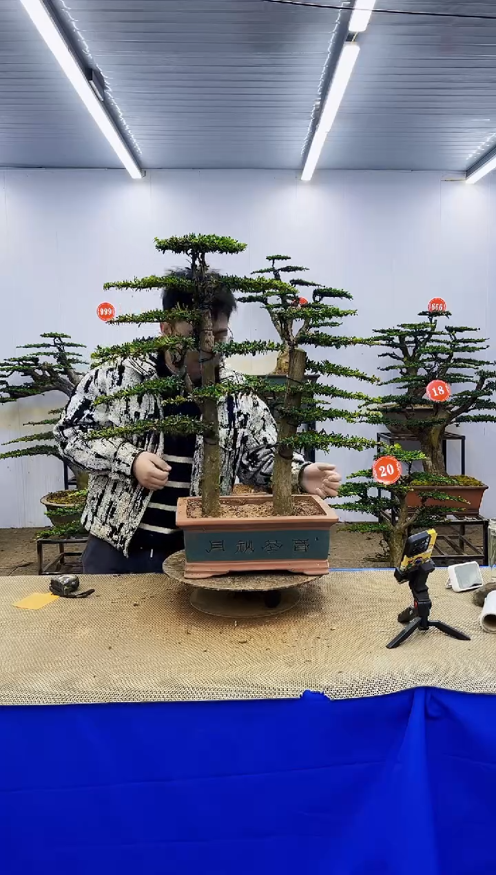 完全开放一物一拍，所见即所得