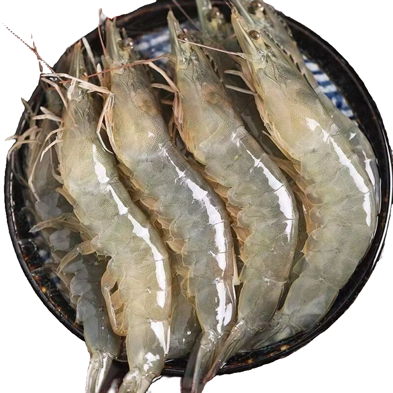 X1【今天拍明天到】海水大虾单只15cm左右四斤/盒含薄碎冰锁鲜 共50~60只海虾 顺丰冷链发货