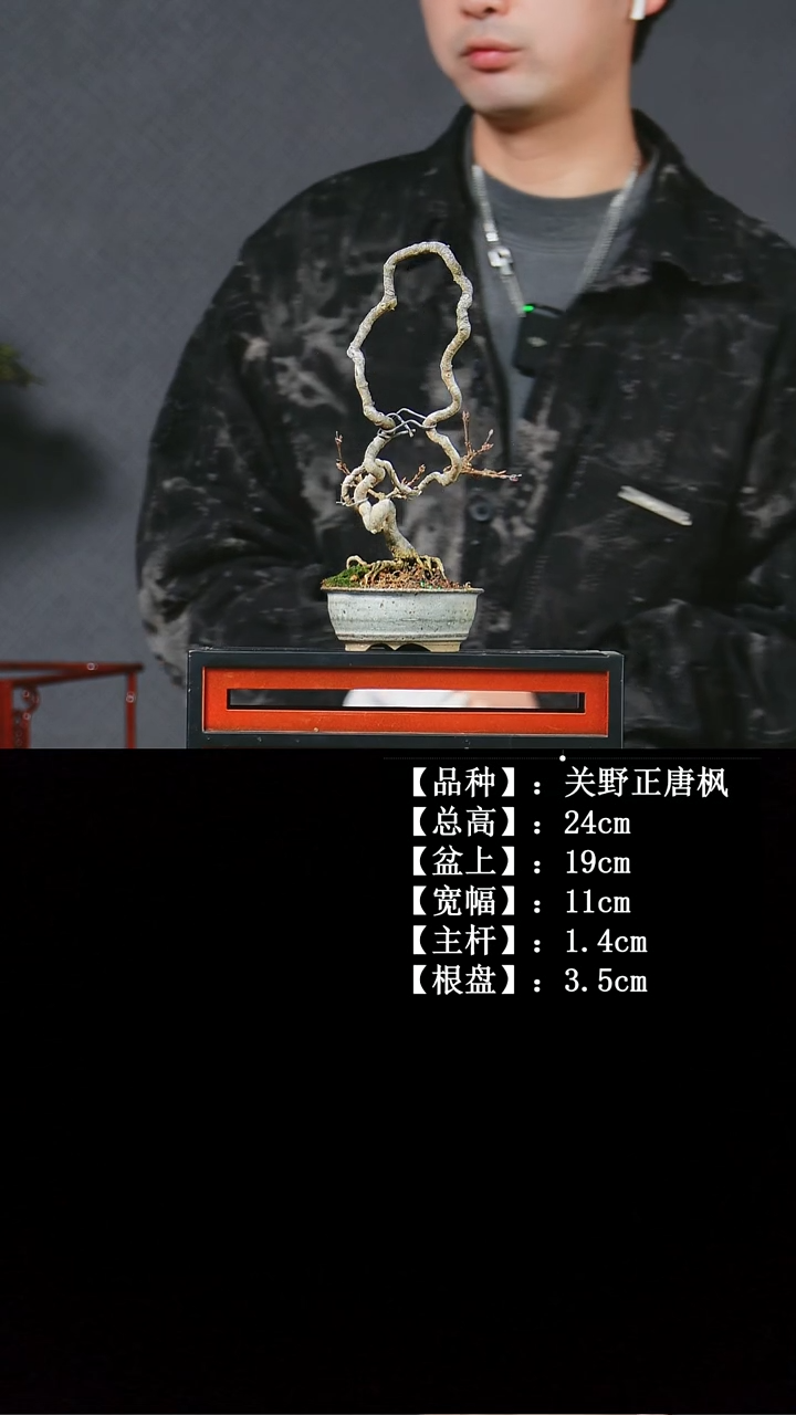以实际为准B220 唐风 不包邮