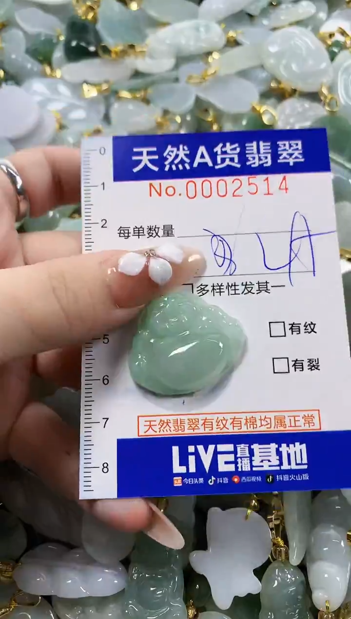 颈饰未镶嵌翡翠青*天然A货翡翠