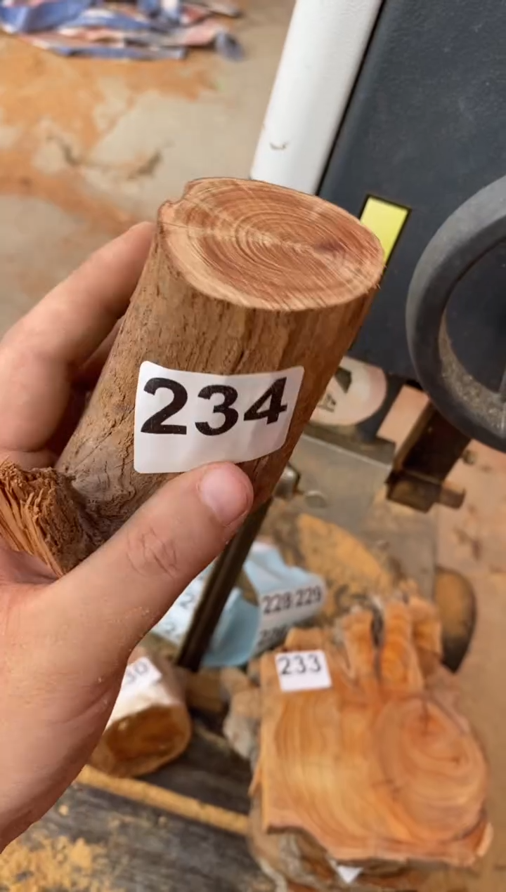 柏木（崖柏）太行陈化崖柏切片一块（津诚林）