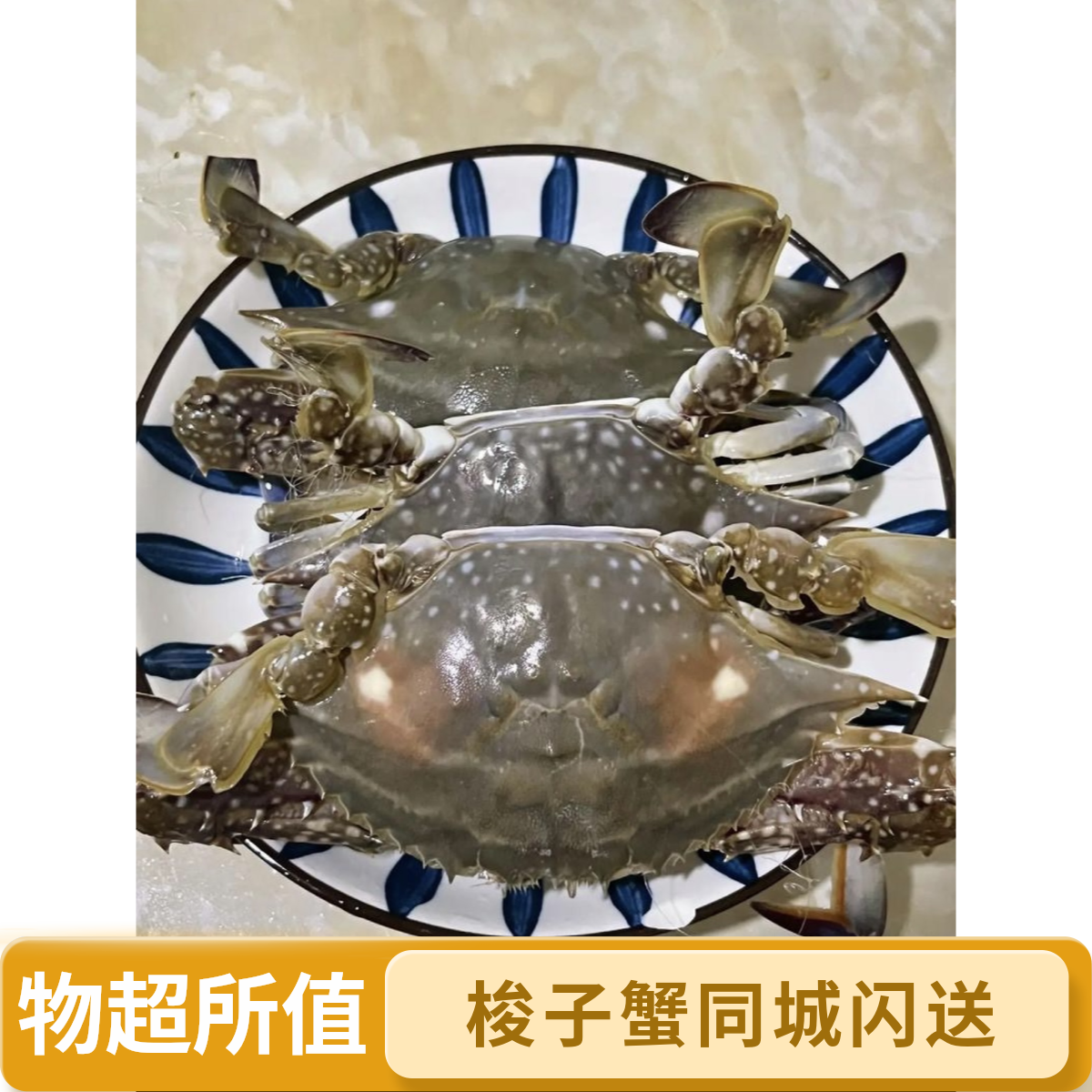 【鲜活精选】 梭子蟹  单只1-2两  螃蟹  海蟹 海捕少腿正常【保鲜不保活】 北京同城小时达 （每斤5-8只）