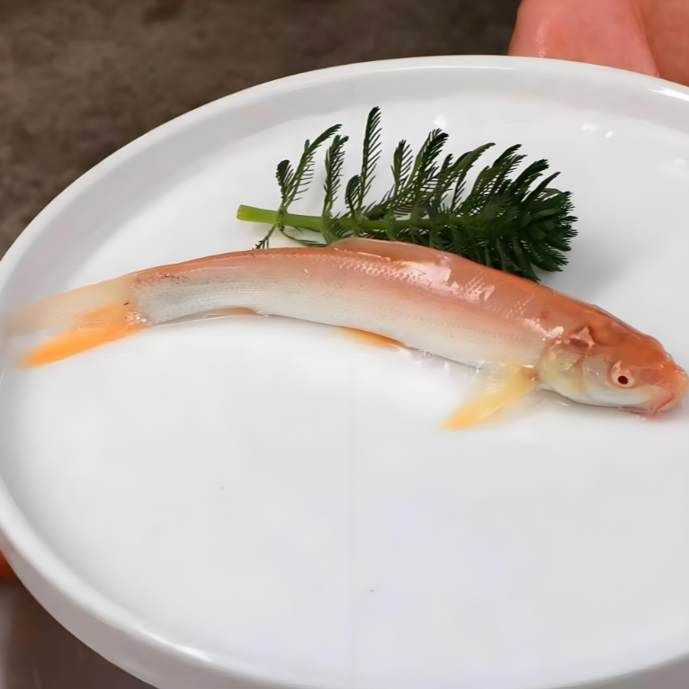 冰鲜现捞红色银鳕鱼生态养殖