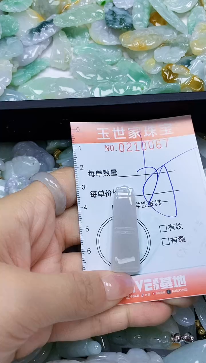 【闪购商品】翡翠颈饰未镶嵌闪购0210067