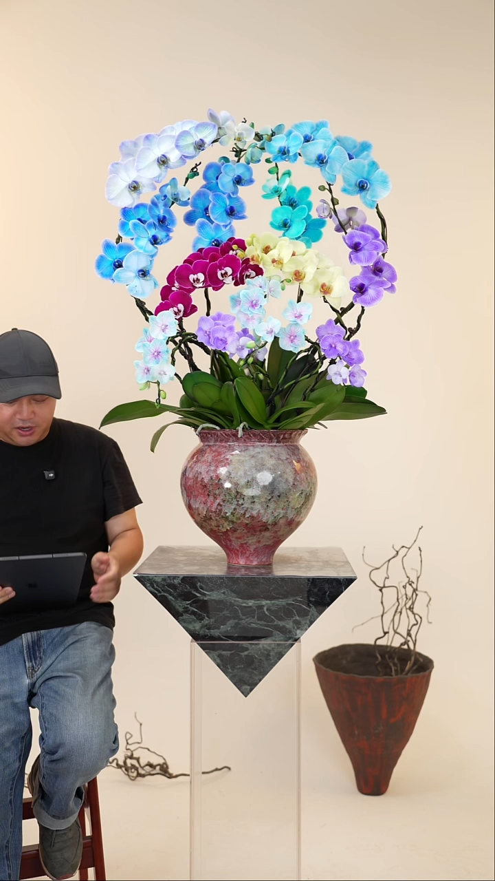 全部花朵003号链接【一物一拍】艺术盆景