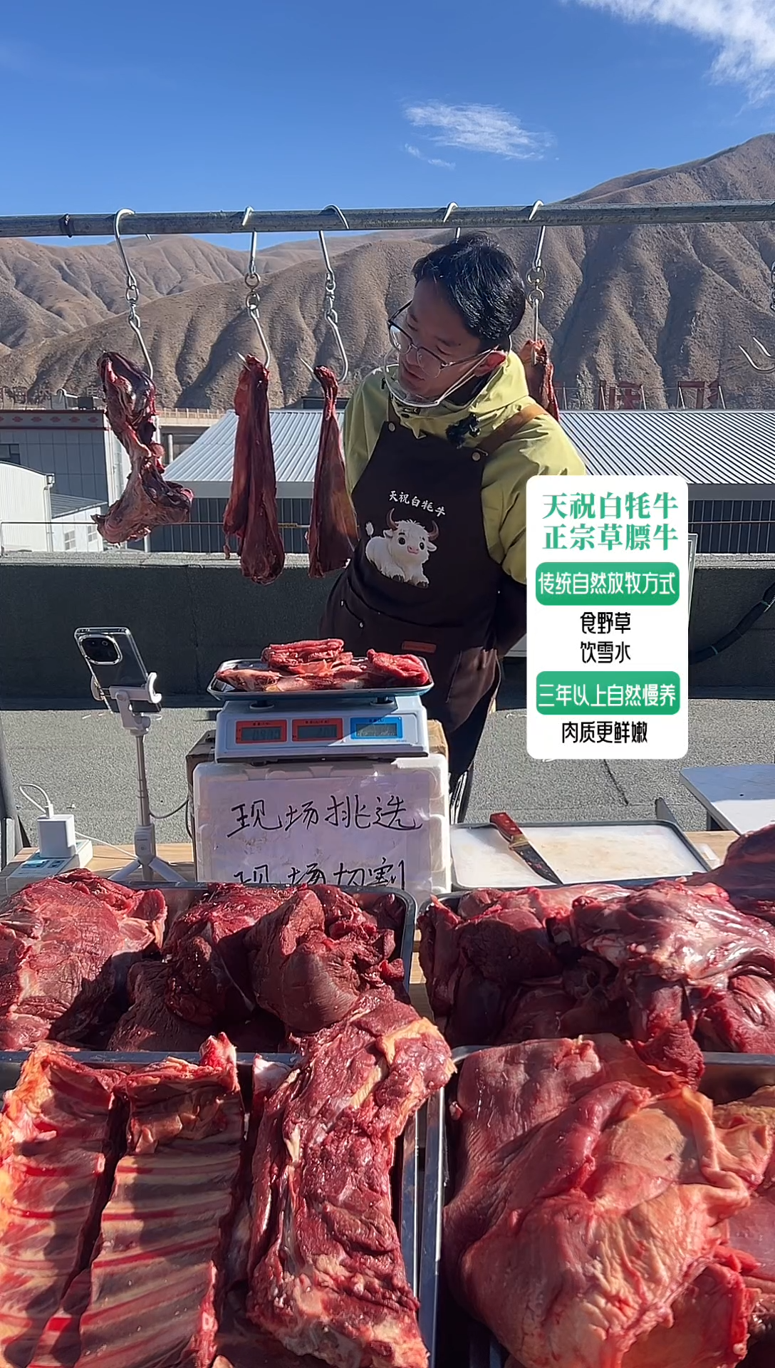 365天中国大陆牛排菇1.9斤